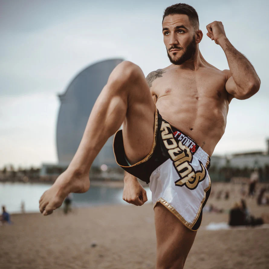 Leone Siam Thai Shorts - Various Colors