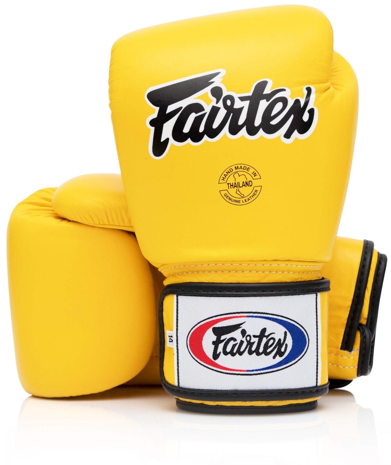 FAIRTEX BGV1 BOXING GLOVES - Various Colors