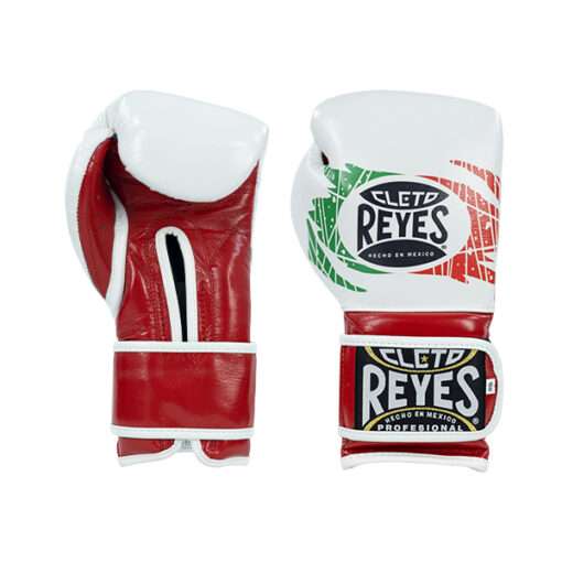 Cleto Reyes Training Gloves - Mexico