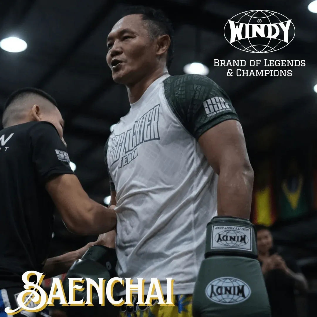 Windy BGVH Classic Boxing Gloves - Various Colors