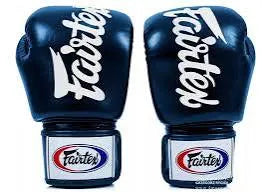 FAIRTEX BGV19 BOXING GLOVES - Various Colors