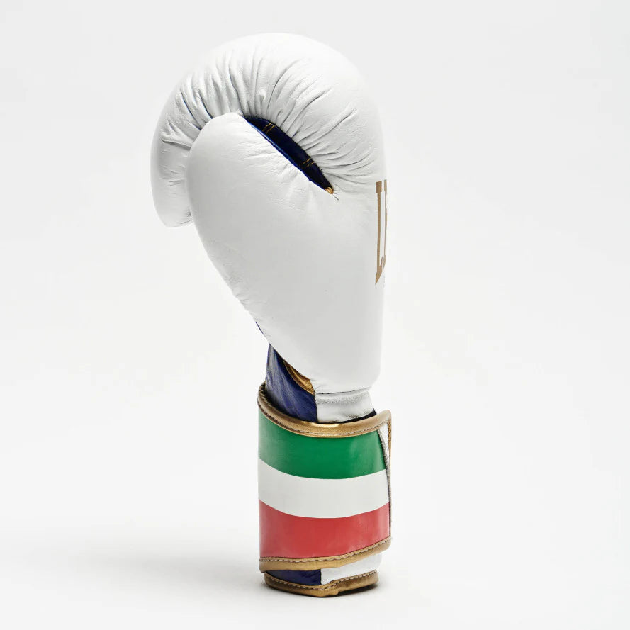 LEONE ITALY47 BOXING GLOVES - Black or White