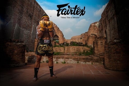 FAIRTEX FALCON BOXING GLOVES - LIMITED EDITION