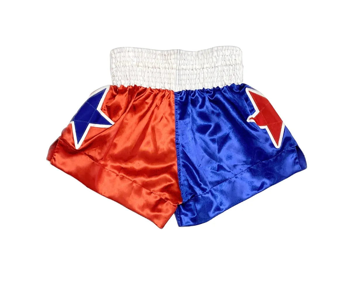 FAIRTEX TRADITIONAL THAI SHORTS - THAI FLAG