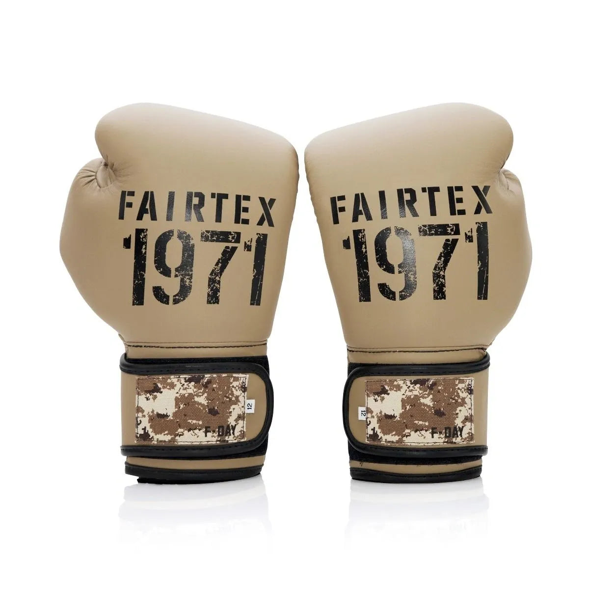 FAIRTEX F-DAY 2 BOXING GLOVES