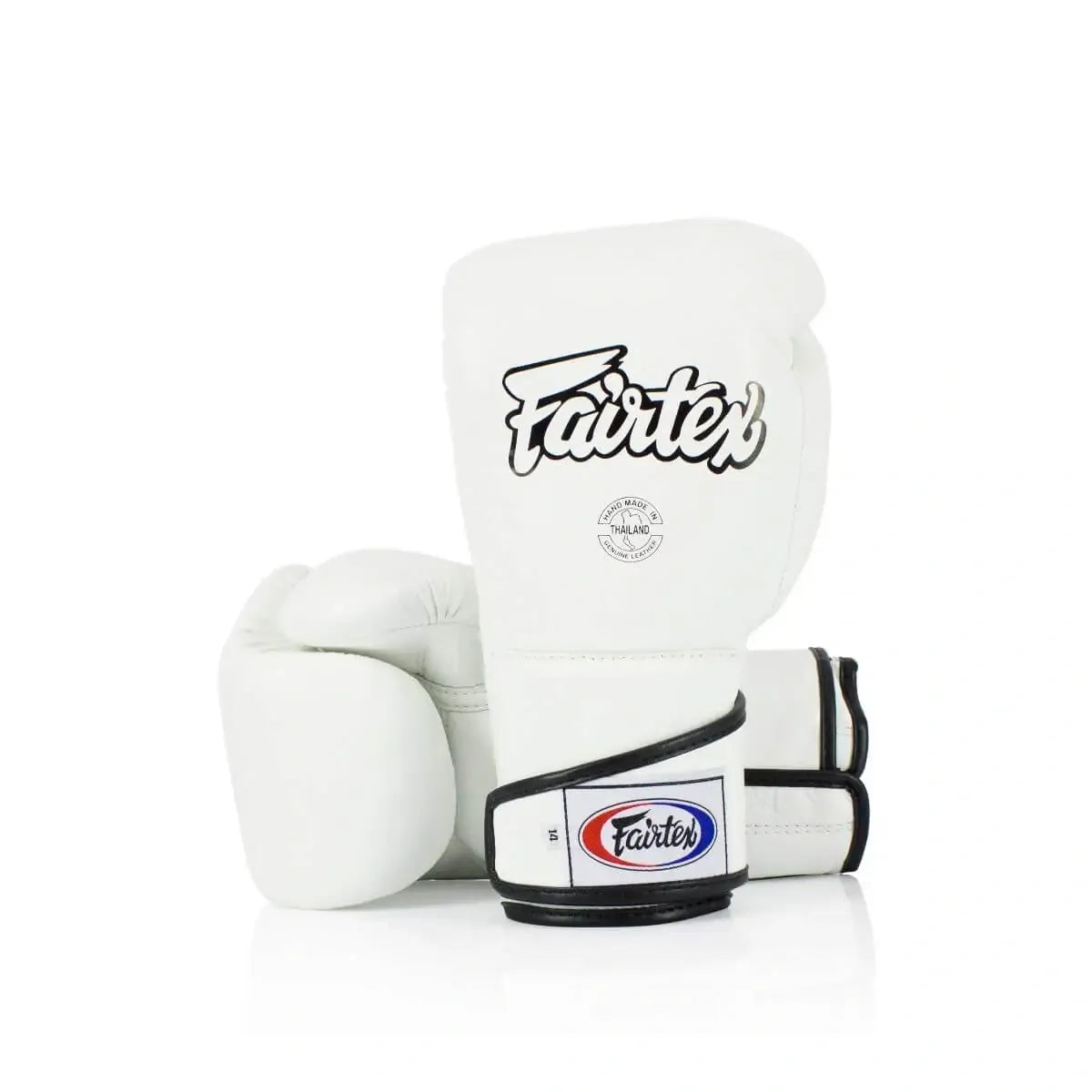 FAIRTEX BGV6 BOXING GLOVES - Black or White