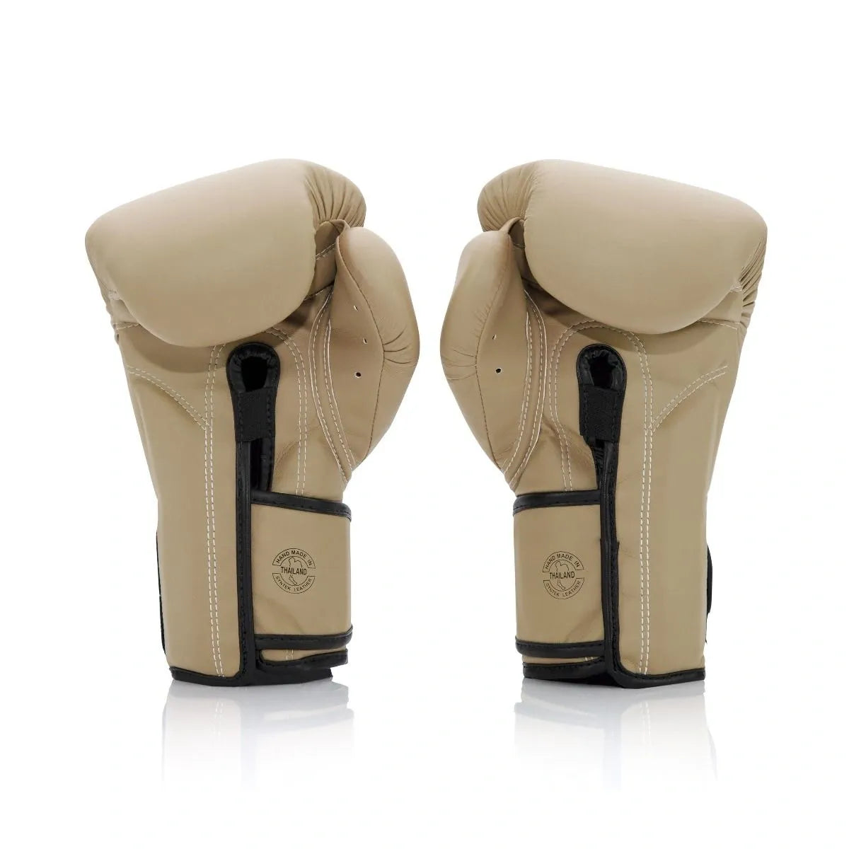 FAIRTEX F-DAY 2 BOXING GLOVES