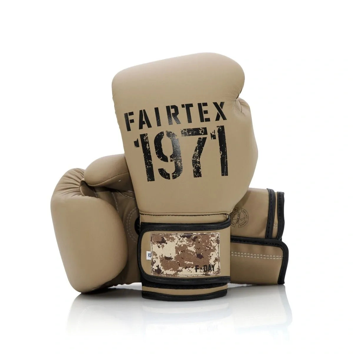 FAIRTEX F-DAY 2 BOXING GLOVES