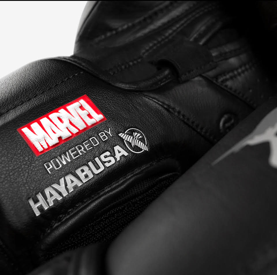 HAYABUSA PUNISHER BOXING GLOVES